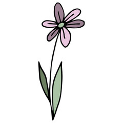 Naklejka premium Doodle pink flower and green leaves. Black outline. White background. Vector image hand-drawn. Floral design for greeting cards, accessories. Baby style, cartoon style chamomile or gerbera.