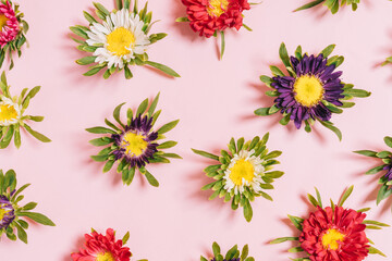Colorful flowers arranged on a pink background