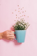 Chrysanthemums in a blue cup on a pink background