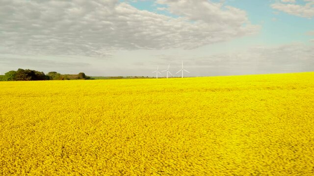 Wind turbines being revealed by a hill with yellow crops drone shot
