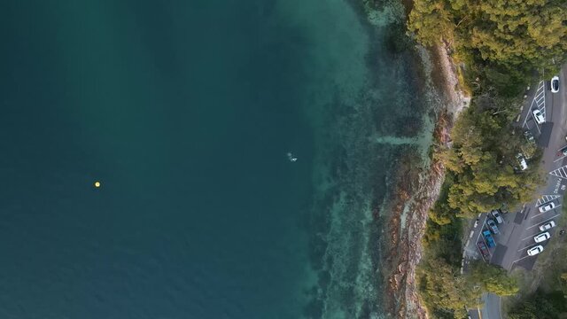 Static high drone view looking down on a coastal headland next to a carpark and road with scuba divers in the water
