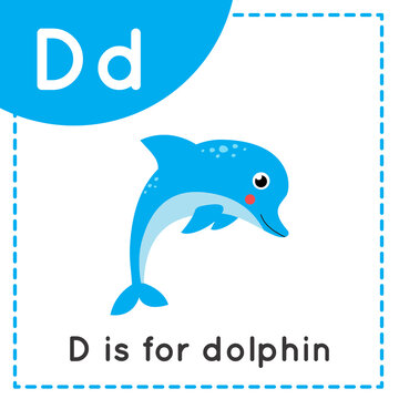 Learning English alphabet for kids. Letter D. Cute cartoon dolphin.