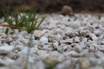 white stones close-up and green grass