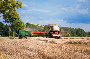 combine harvester in the field harvesting cereal in the sun-drenched fields of central Europe 