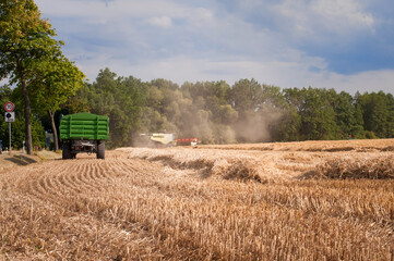 combine harvester in the field harvesting cereal in the sun-drenched fields of central Europe 