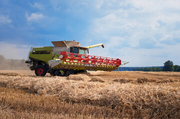 Obraz premium combine harvester in the field harvesting cereal in the sun-drenched fields of central Europe 