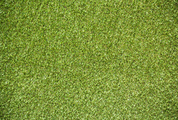 green grass texture background
