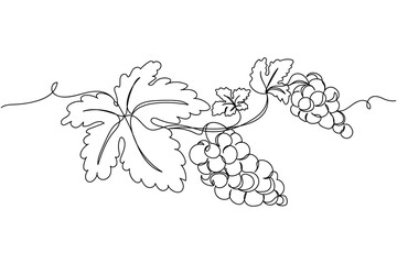 Continuous one line of bunches of grapes with leaf in silhouette. Linear stylized.Minimalist. - obrazy, fototapety, plakaty
