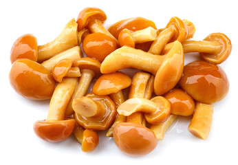 Pickled mushrooms are isolated on a white background. Pickled honey fungus.
