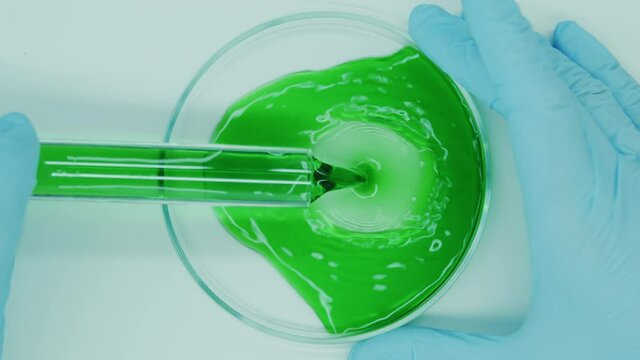 Getting an extract from plants. Production of natural cosmetics. Green liquid in a test tube. Environment protection. Chemical analysis of liquid. Green extract in petri dishes.