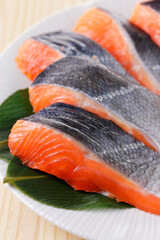 銀鮭の切り身　Silver salmon fillet