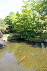 Poster de jardin  初夏の好古園  © ehime2020