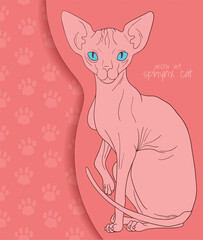 vector illustration with Sphynx cat in cartoon style, orange and blue colors
