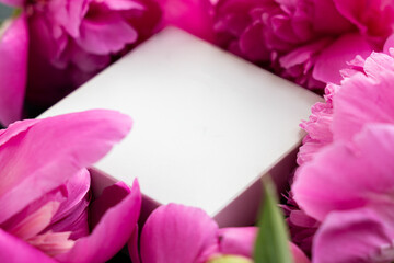 Small white box in a frame of pink delicate peonies on a beautiful cement background. Romantic concept. Flat lay.Postcard