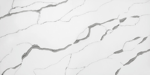 White statuario type marble with dark grey vines for wall and floor covering 