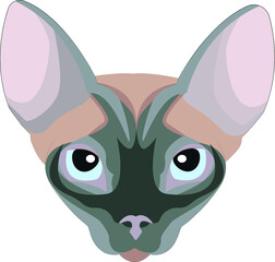 Illustration of a sphinx cat. Colorful vector illustration Fashion cat T-shirt stickers for kids, girls, teen
