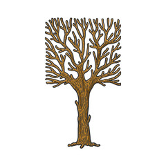 Naklejka premium square crown tree sketch raster illustration