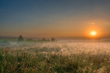 Fototapeta na wymiar dawn over the field in central russia