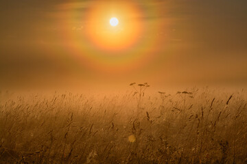 sunrise over the field with halo and fog