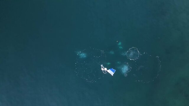 A group of scuba divers underwater doing a rescue course next to a dive safety flag.  Drone high view looking down