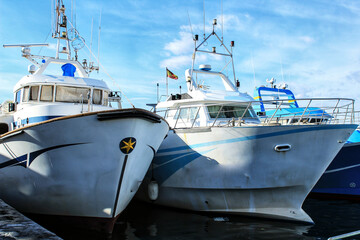 Fototapeta premium Fishing boats moored in the port