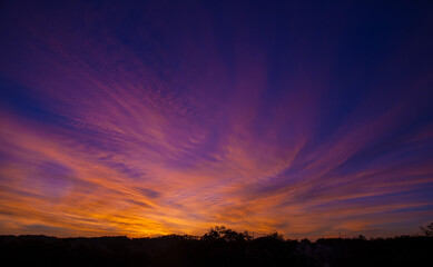Beautiful sunset. A fiery yellow glow from the sky above the horizon at sunset, with treetops visible on the horizon.