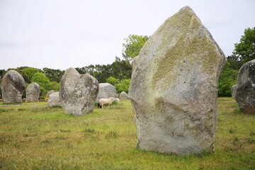 ancient stones of Carnac