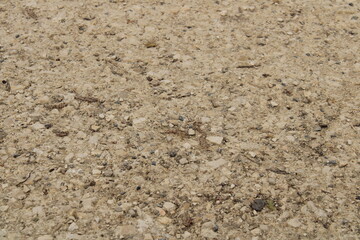 Texture background. Closeup shot of a jogging path at Kannenfeldpark in Basel Switzerland.