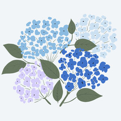 Hand drawn hydrangea. Vector floral background. Romantic flowers illustration. Greeting card design. Spring, summer template.