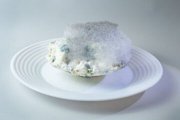 On a white plate with cottage cheese is spoiled cottage cheese. It shows green and gray mould