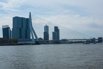 Naklejka na ściany i meble Erasmus bridge over the river in Rotterdam