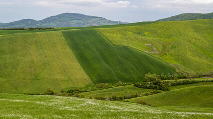 Paysage rural en Italie dans la région des Marches