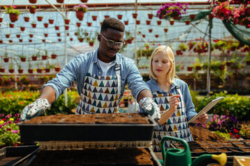 Two florists planting flowers in greenhouse