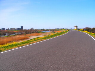 Fototapeta na wymiar 春の菜の花咲く江戸川土手のサイクリング道路風景