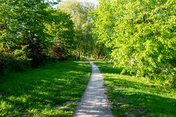 Obraz premium Beautiful green summer landscape in a park with a footpath, soft focus. Evening nature at sunset. Shadows of trees on green grass.