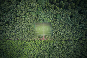 Aerial of football pitch in the forest
