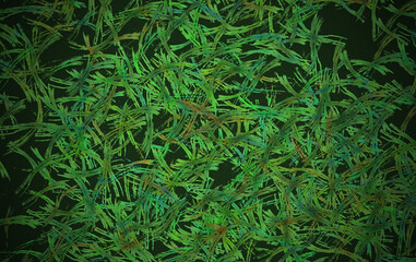 abstract watercolor background 