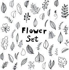 Collection of hand drawn botanical doodle set. Vector floral decorative hand drawn doodle set. Samples of vector leaves and branches.