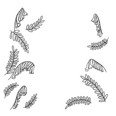 クサフジ_モノクロ線画_装飾_透明背景