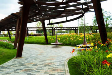 Meadow in  Moscow. Plants from Red Book