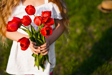 A bouquet of red tulips on the girl hands with copy space for text background green grass