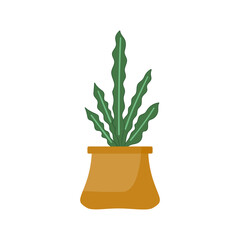 home plants, flat set dd ww herb