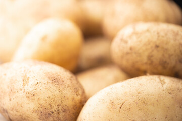 Fototapeta na wymiar Fresh potatoes from the garden