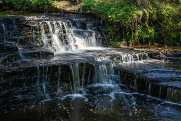 Obraz premium Cascading waterfall cascades in Estonia in green light at summertime