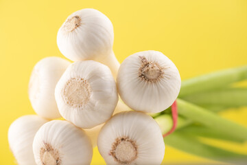 Young garlic in a bunch on a yellow background
