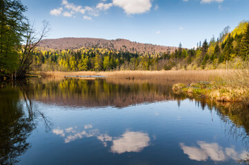 The Bobrowe Lake at the foot of the Chryszczata Mountain in the Baligród Forest District. Rabe, Bieszczady Mountains