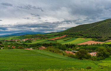 Fototapeta na wymiar Spectacular fields in the spring time in La Rioja