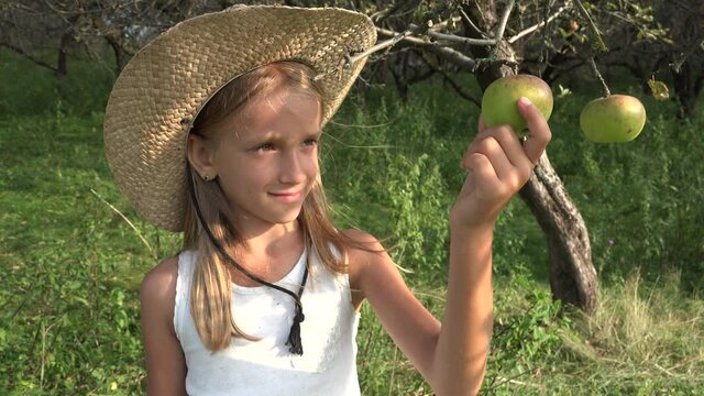 Kid Eating Apple, Child in Orchard, Kid Tasting Fruits in Tree, Farmer Blonde Girl at Village at Countryside 