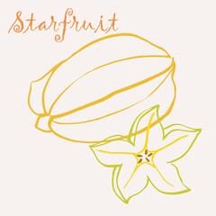 Hand drawn star fruit multicolor line art vector illustration. Colorful line art exotic fruit design.