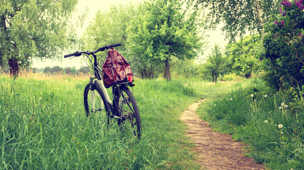 Fototapeta na wymiar Bicycle with a backpack on the trunk on the background of nature in summer 